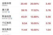 伊犁哈萨克“苏超”爆火！300651，“20cm”涨停