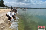 伊犁哈萨克云南江川举行增殖放流活动 逾54万尾鱼游入星云湖