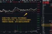伊犁哈萨克超1亿元！成交额激增，信创成香饽饽！三大核心因素驱动，信创ETF基金（562030）全天宽幅溢价